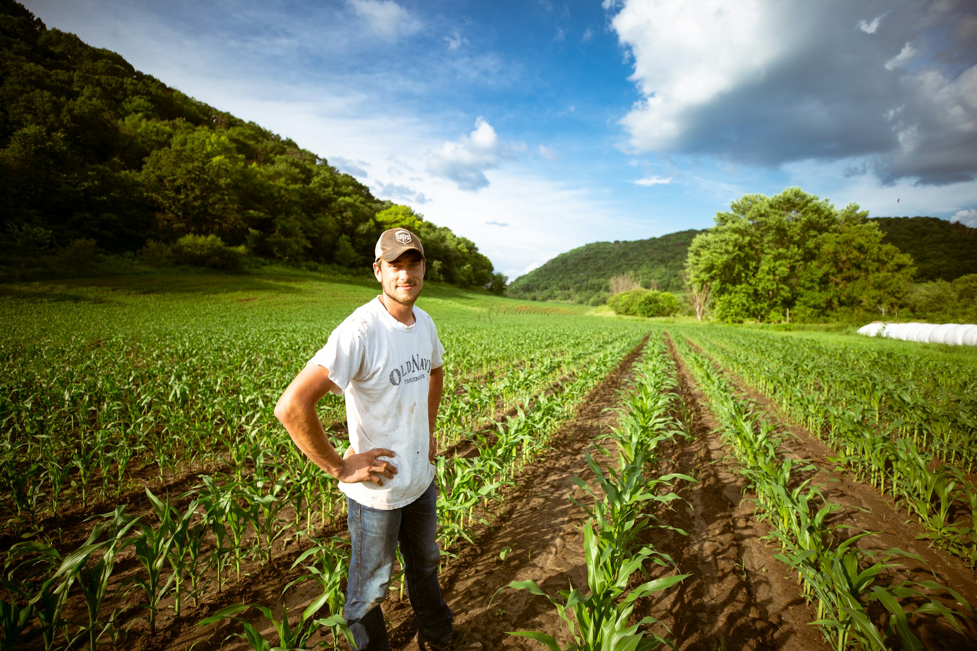 Agronomist inspecting crop rows in the field