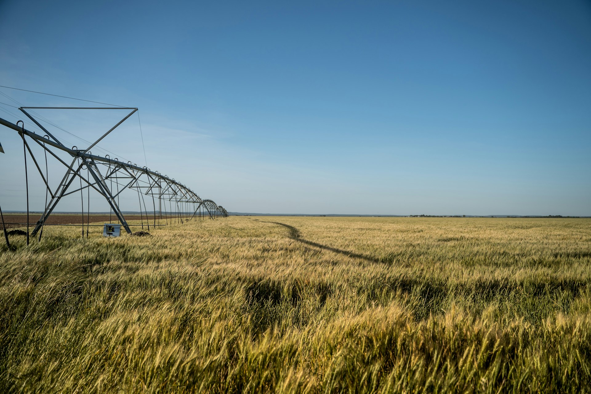 Centre-pivot irrigation working across a dry-zone field