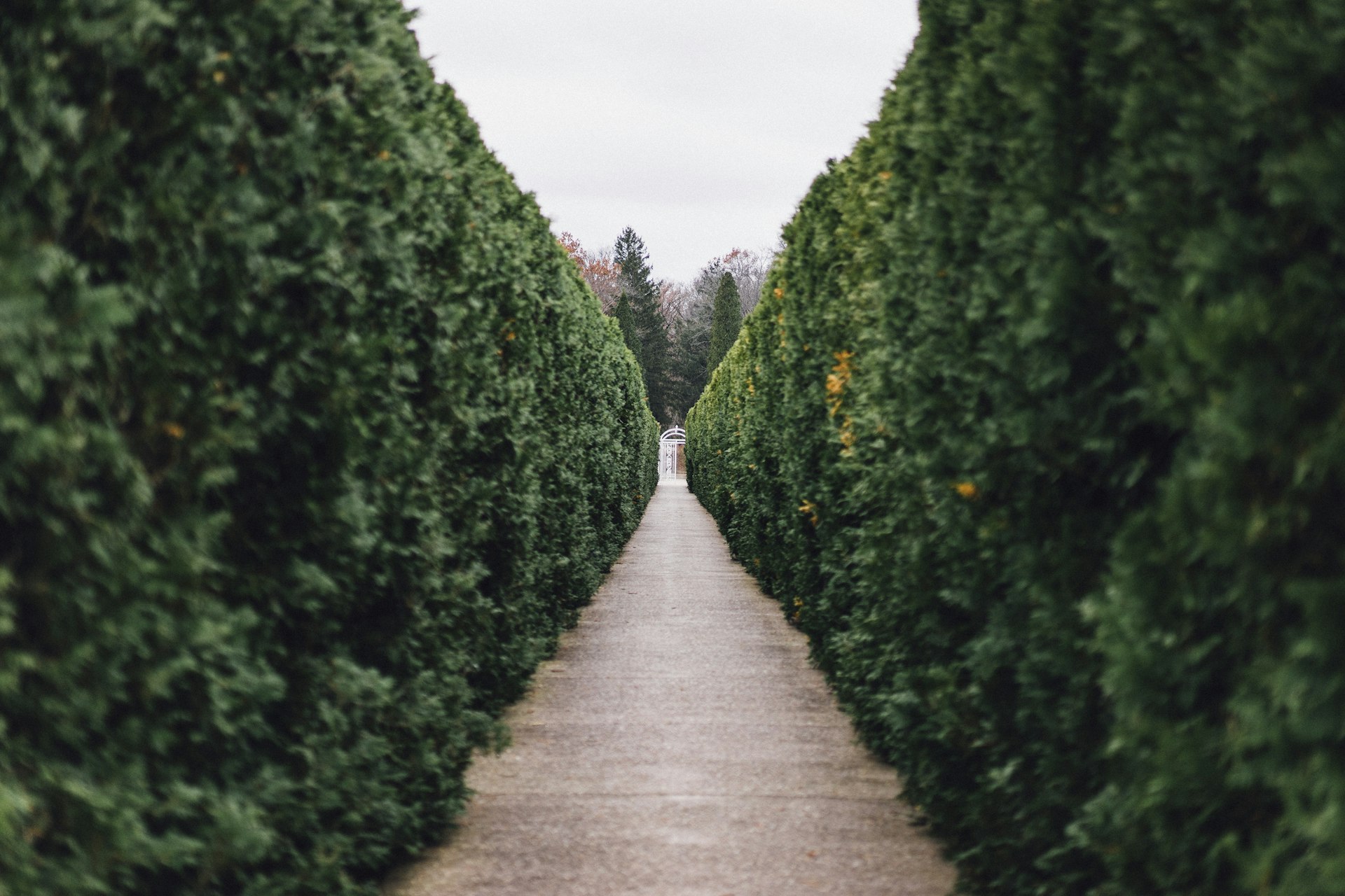 Formal landscaped gardens with manicured hedges