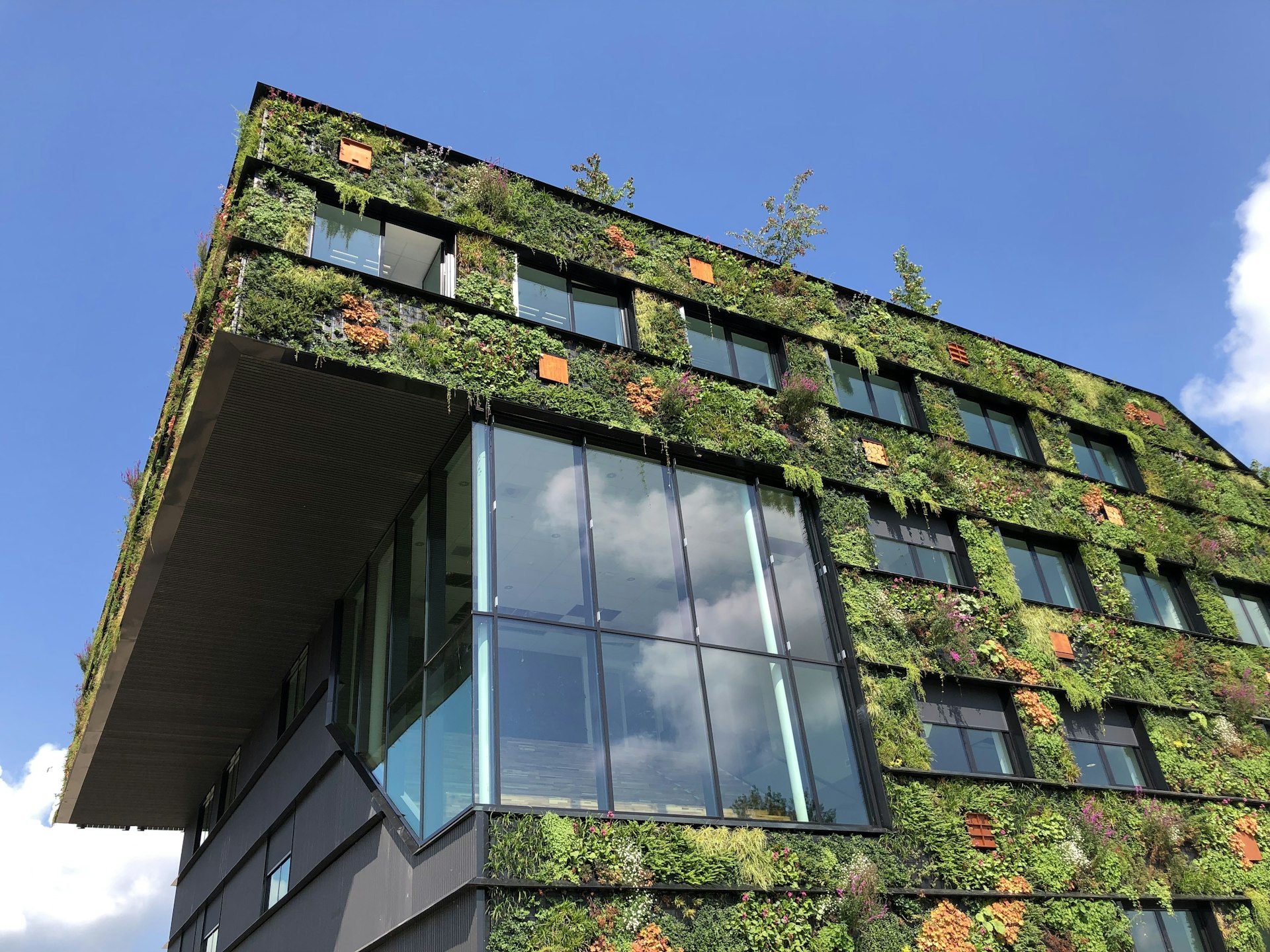 Modern green building facade