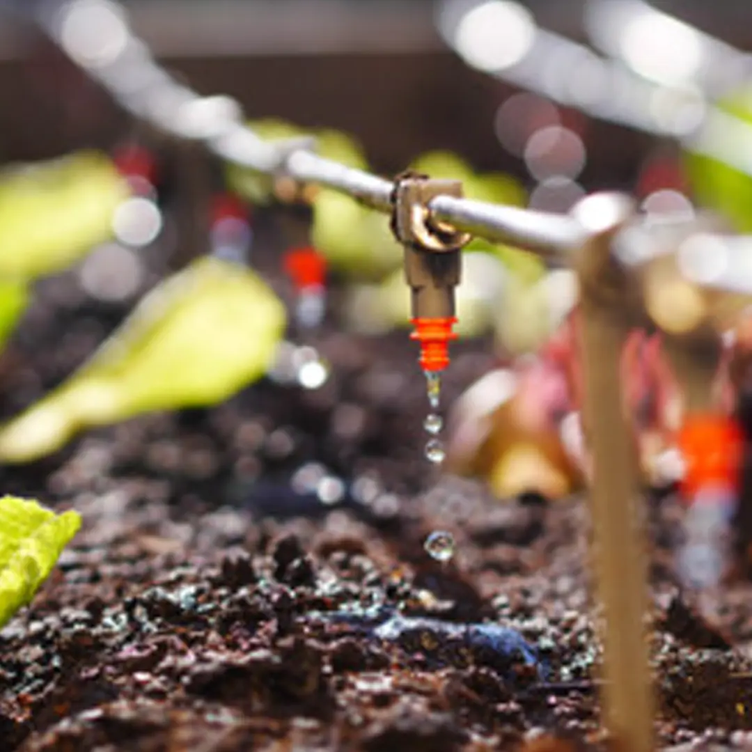 Technician maintaining drip irrigation filtration equipment