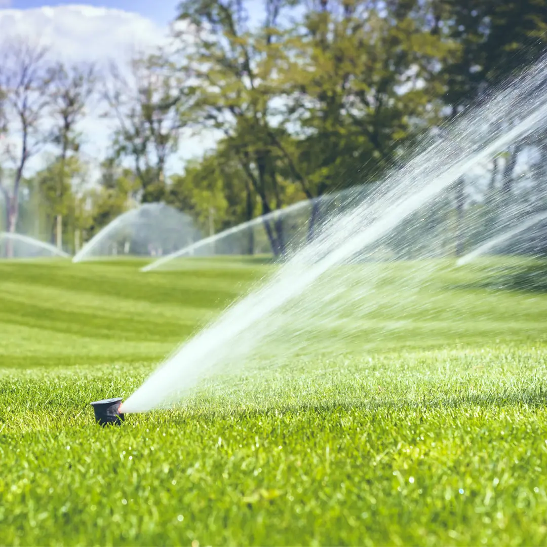 Impact sprinkler irrigating a commercial field