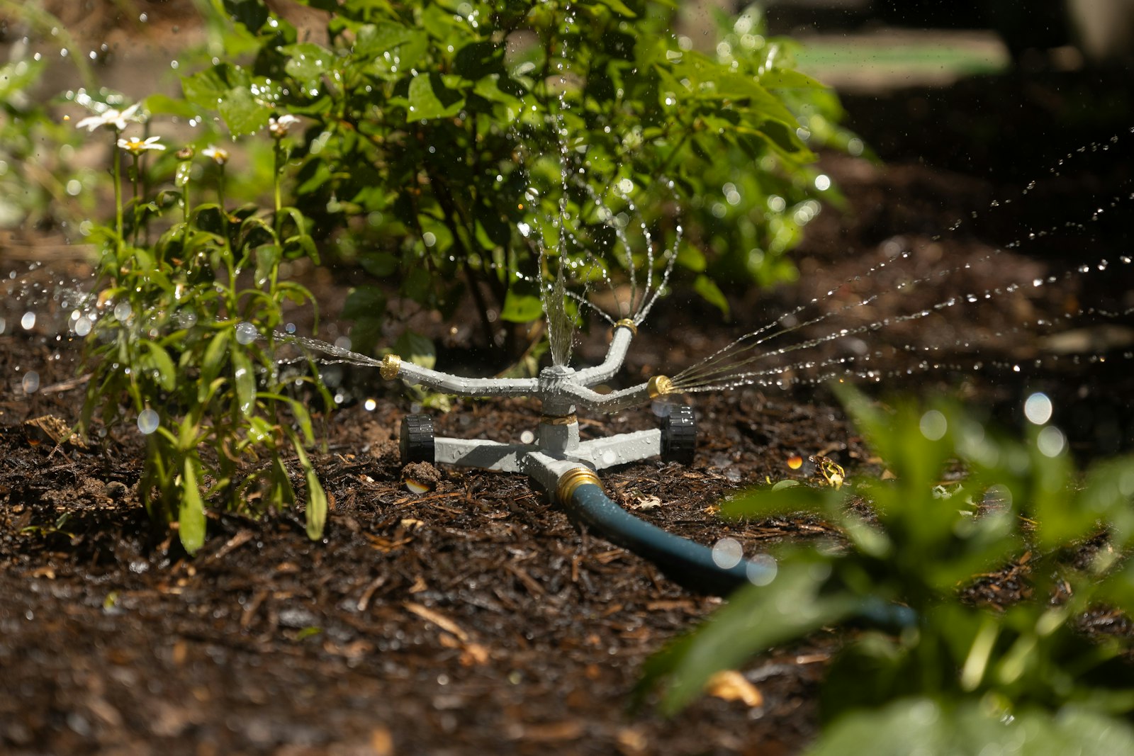 Garden sprinkler watering flower beds precisely